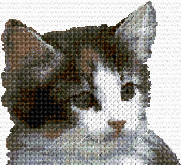 Kitty