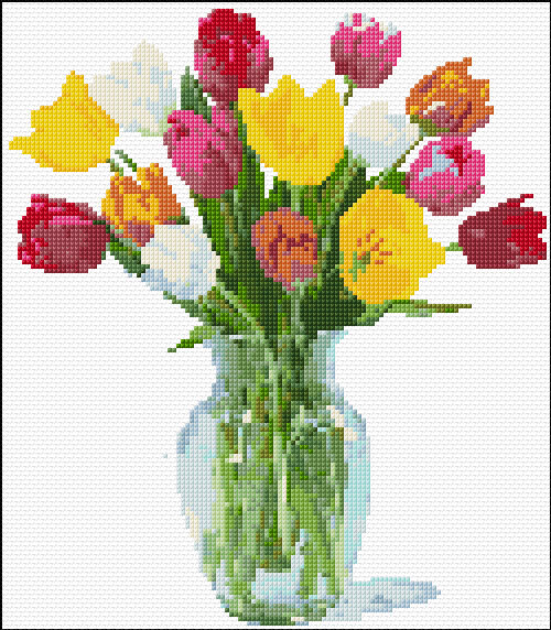 Tulips
