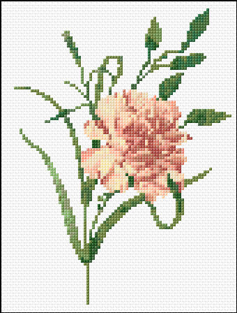 carnation free cross-stitch pattern