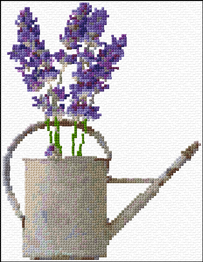 Lavender
