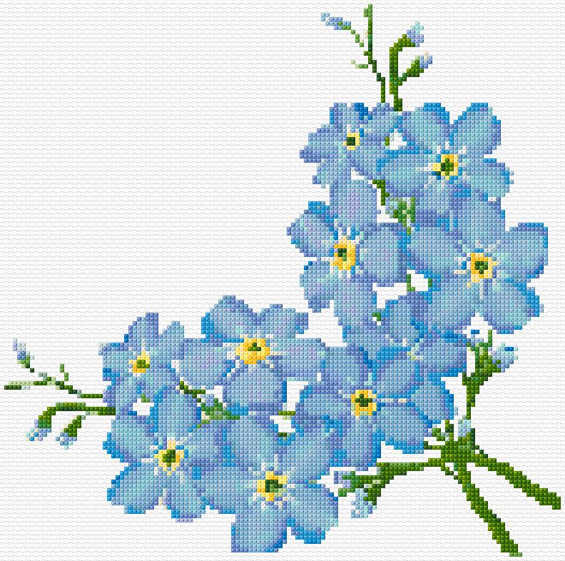 Forget-Me-Not