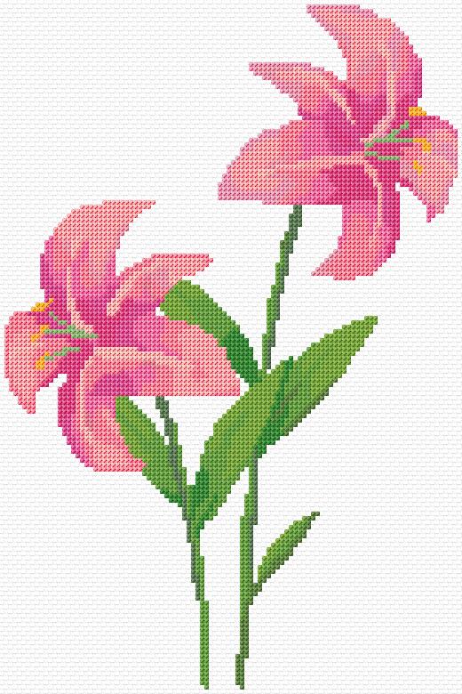 Lilies