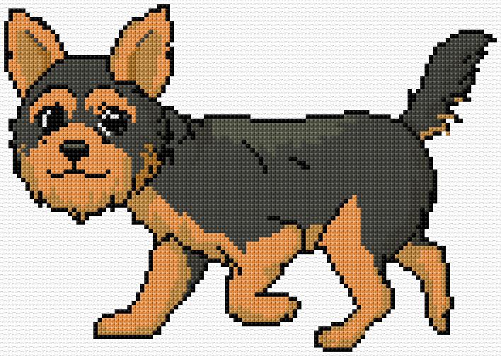 Yorkshire Terrier