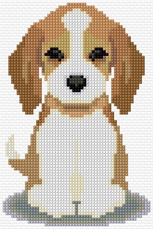 Puppy