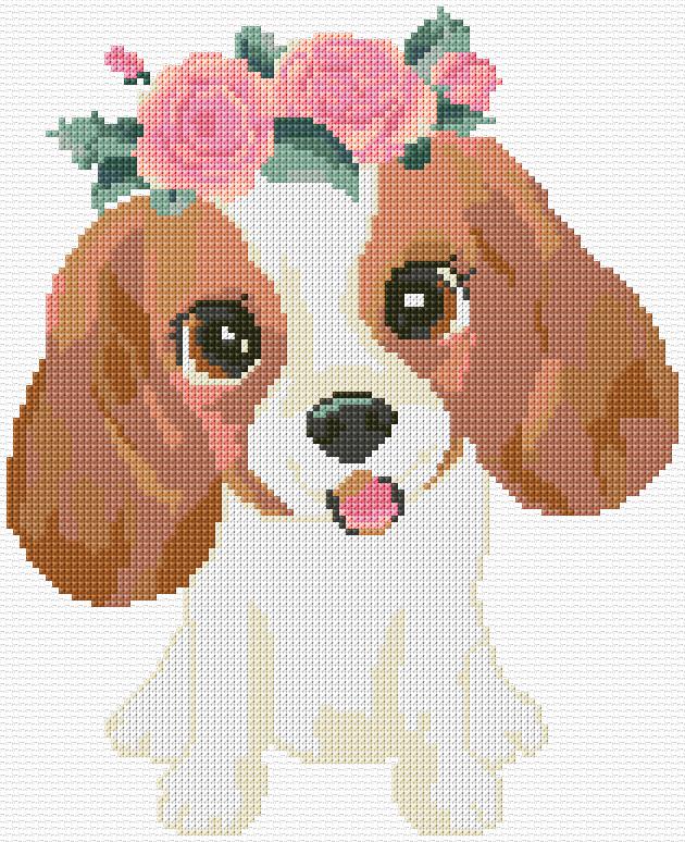 Puppy