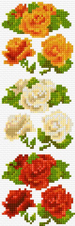 Roses