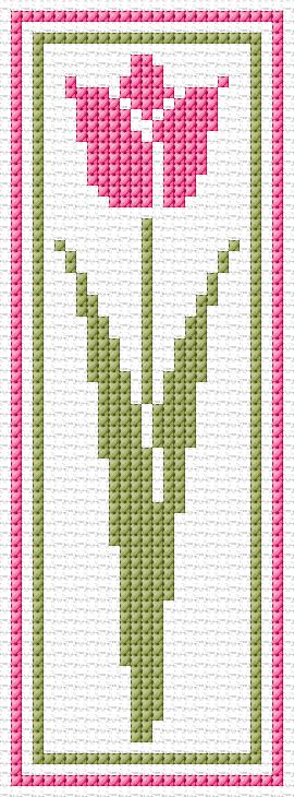 Tulip