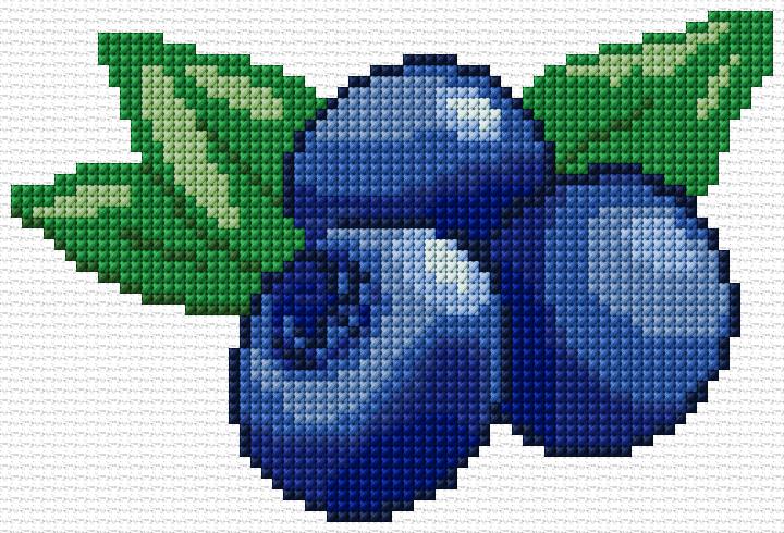 Blueberries
