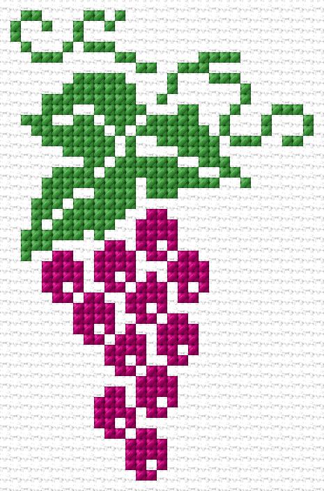 Grapes