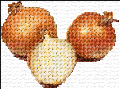 Onion