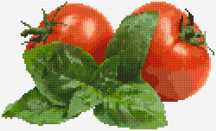 Tomatoes