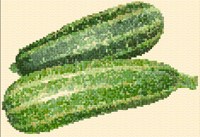 Courgettes