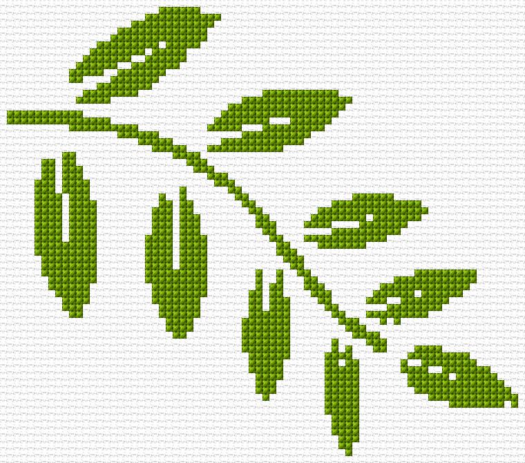Leaves