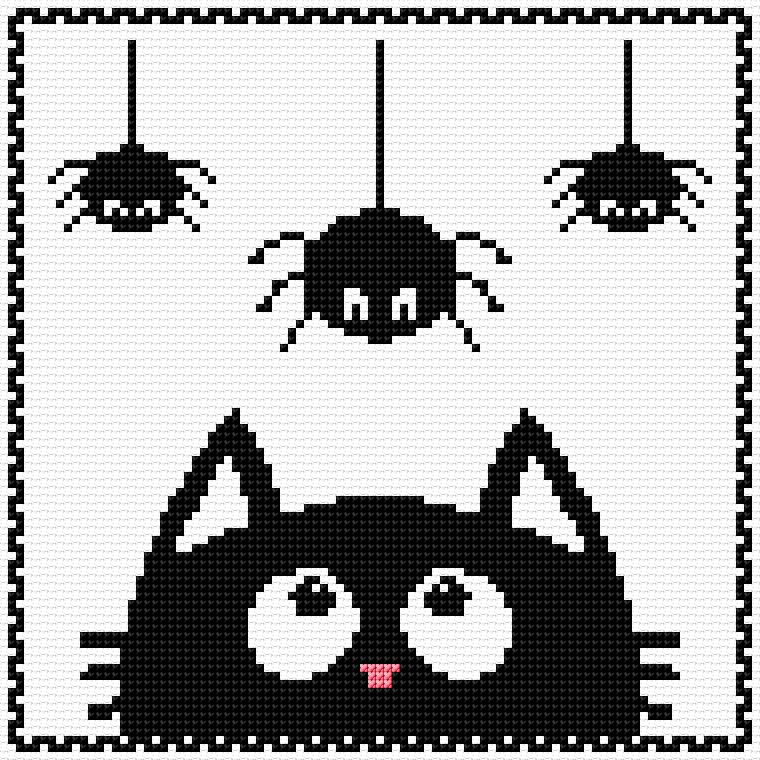 Cat and Spiders