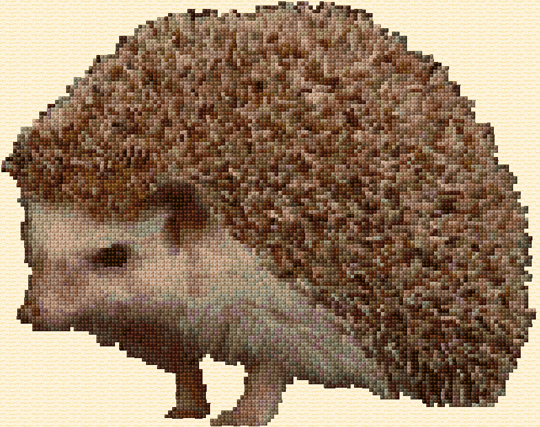 Hedgehog