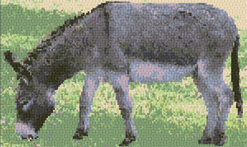 Donkey