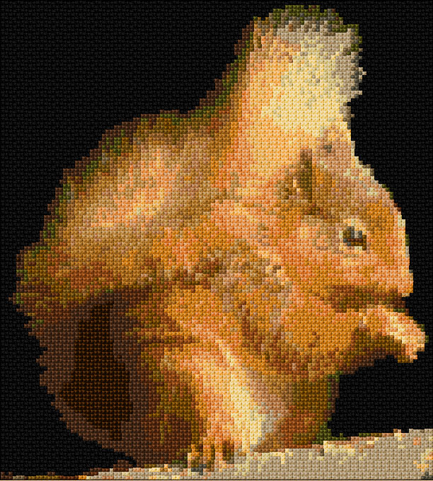 Squirrel
