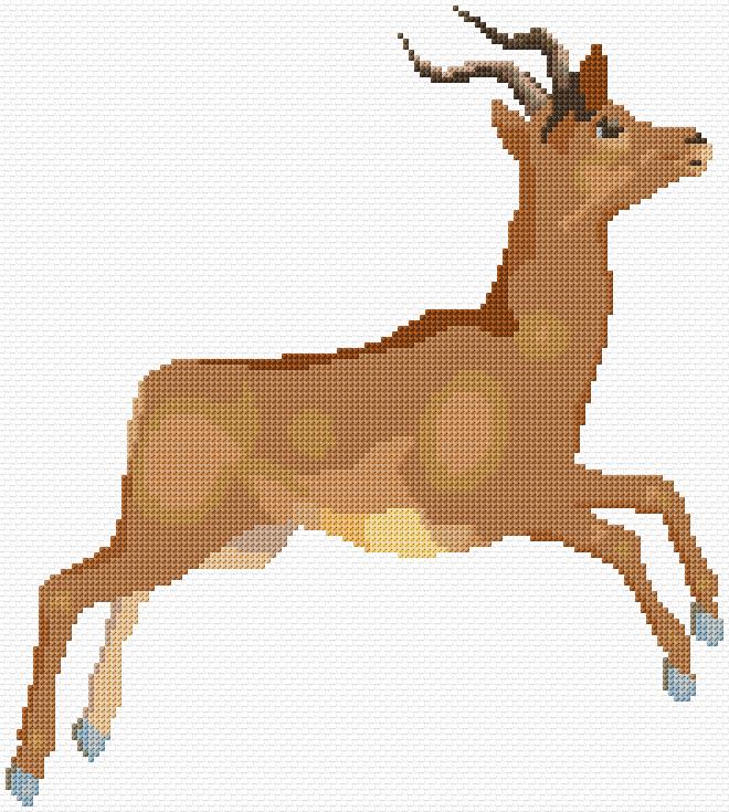 African Antelope