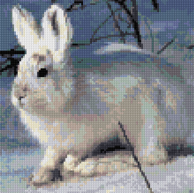 Arctic Hare