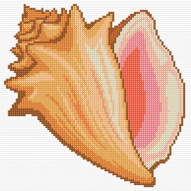 Shell