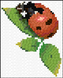 Ladybug