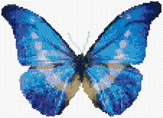 Blue Butterfly