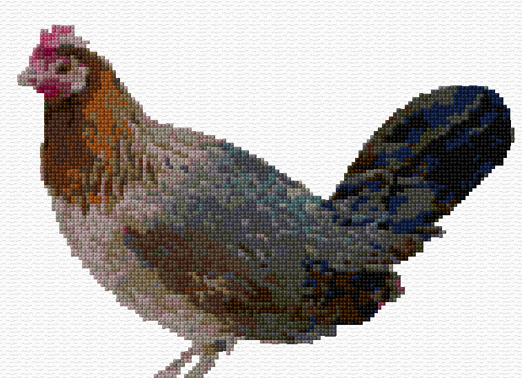 Hen