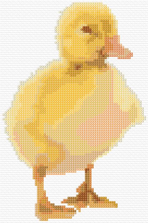 Duckling