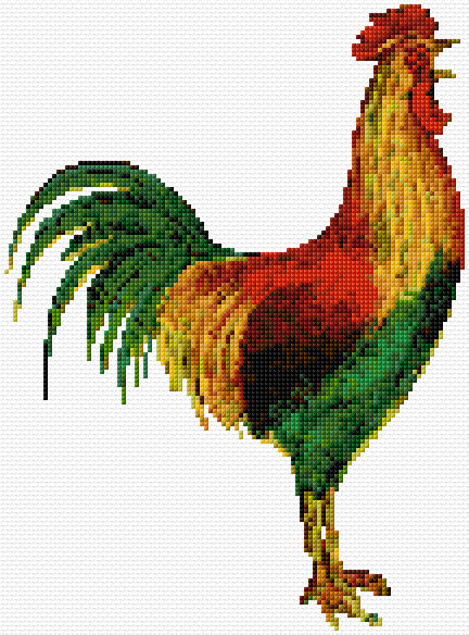 Rooster