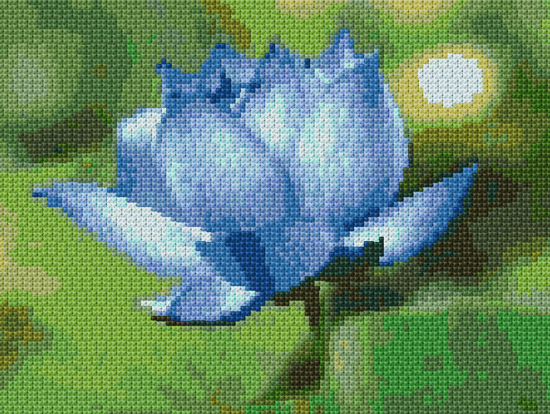 Blue Lotus