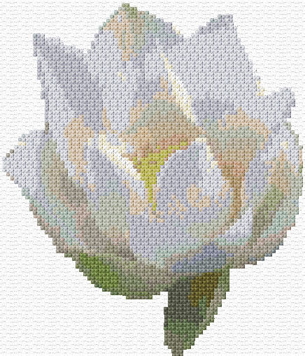 White Lotus