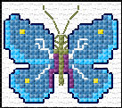 Butterfliy