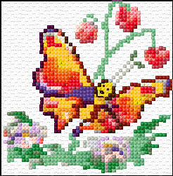 Butterfly