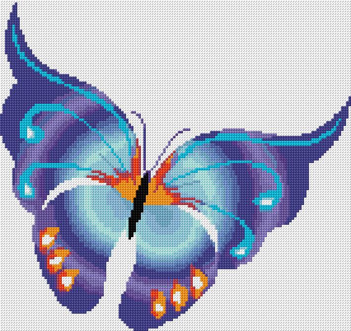 Butterfly