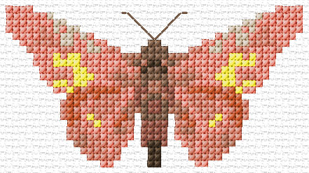 Butterfly 6