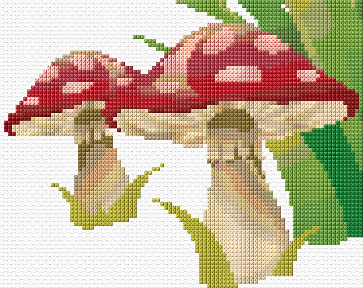 Mushrooms