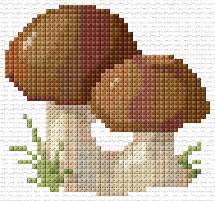 Mushrooms
