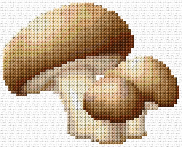 Mushrooms