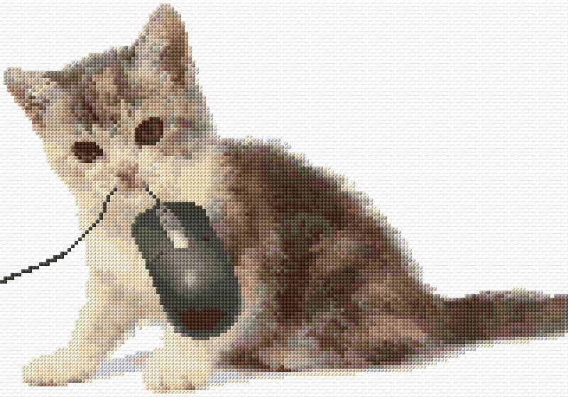 Kitten and Mouse