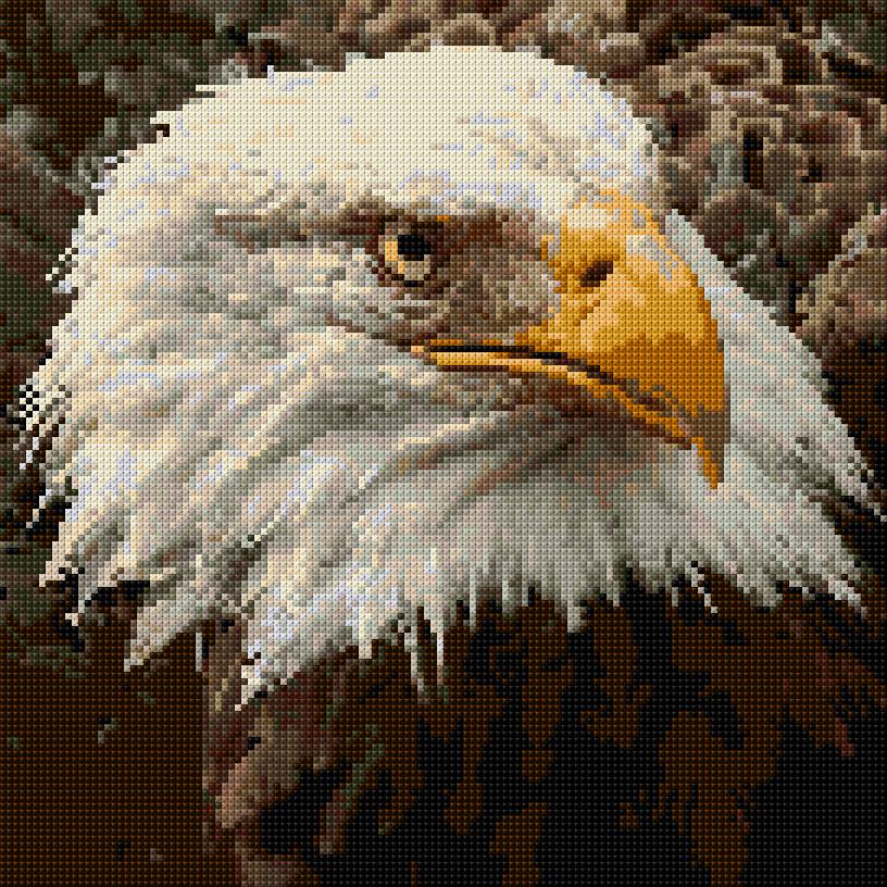 Eagle