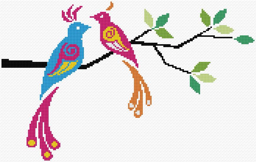 Birds