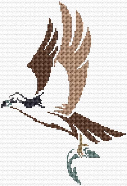 Gull