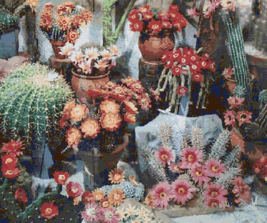 Cactus
