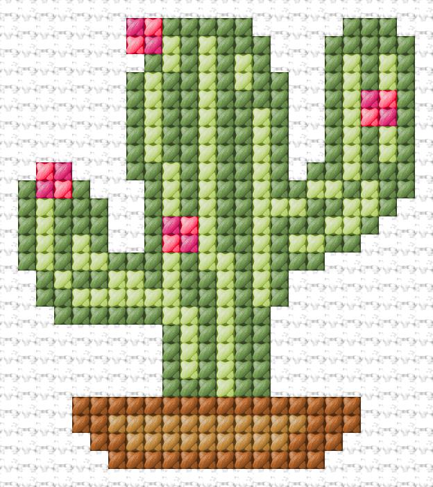 Cactus