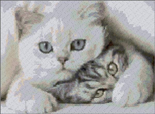 Cats