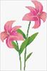 Lilies