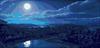Night