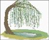 Willow Tree
