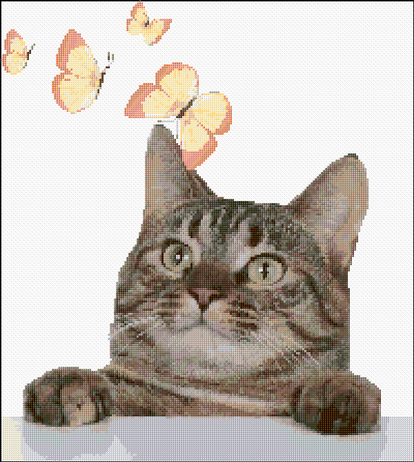 Cat and Butterflies