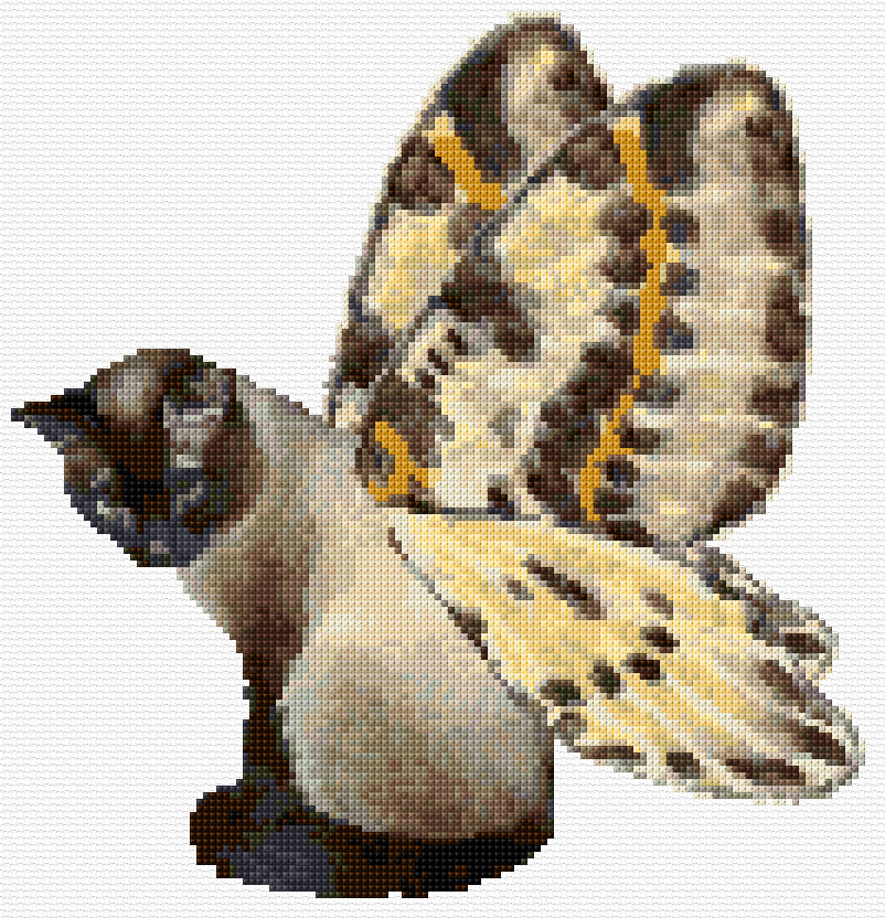 A Cat with the Winds